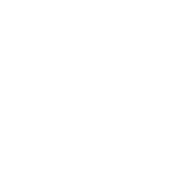 Government ico